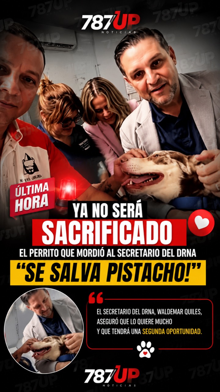 PISTACHO TENDRÁ UNA SEGUNDA OPORTUNIDAD: NO SERÁ SOMETIDO A EUTANASIA POR AHORA